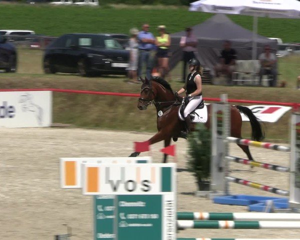 Reitturnier Holschdubrau 2025