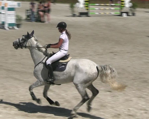 Reitturnier Holschdubrau 2025