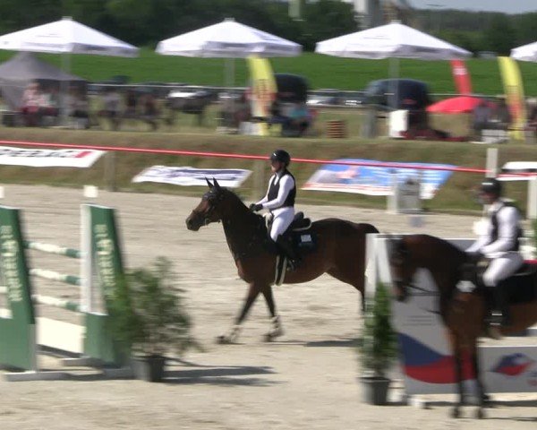 Reitturnier Holschdubrau 2025