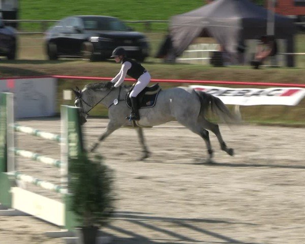 Reitturnier Holschdubrau 2025