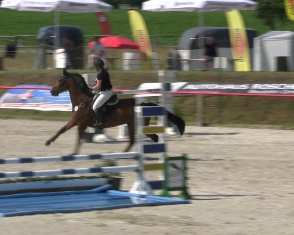 Reitturnier Holschdubrau 2025