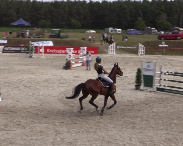 Reitturnier Holschdubrau 2025