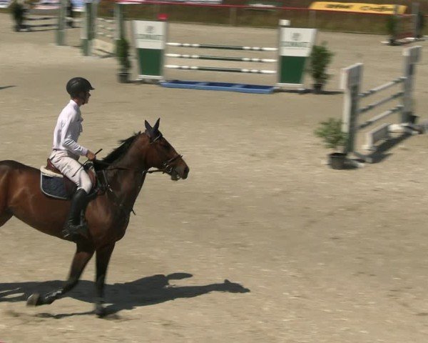 Reitturnier Holschdubrau 2025