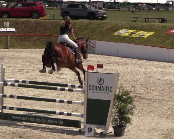 Reitturnier Holschdubrau 2025