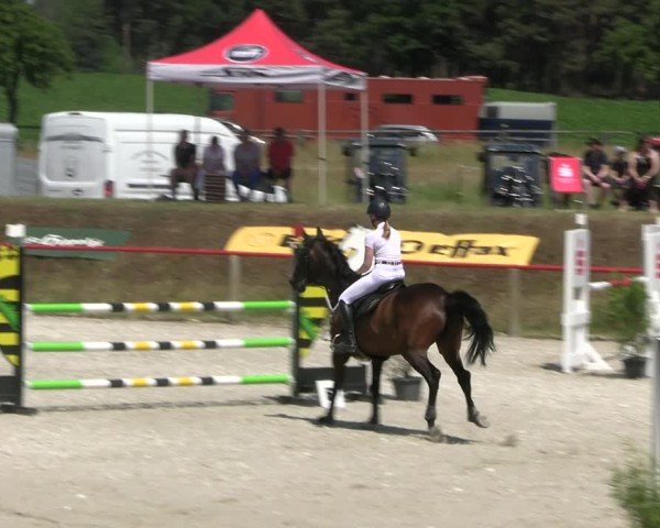 Reitturnier Holschdubrau 2025