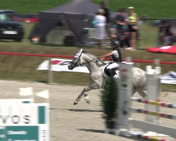 Reitturnier Holschdubrau 2025