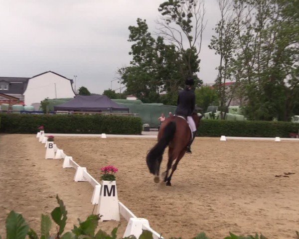 Reitturnier Wingerode 2025