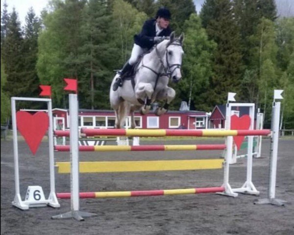 Springpferd Karl BRM (Schwedisches Warmblut, 2008, von For Pleasure)