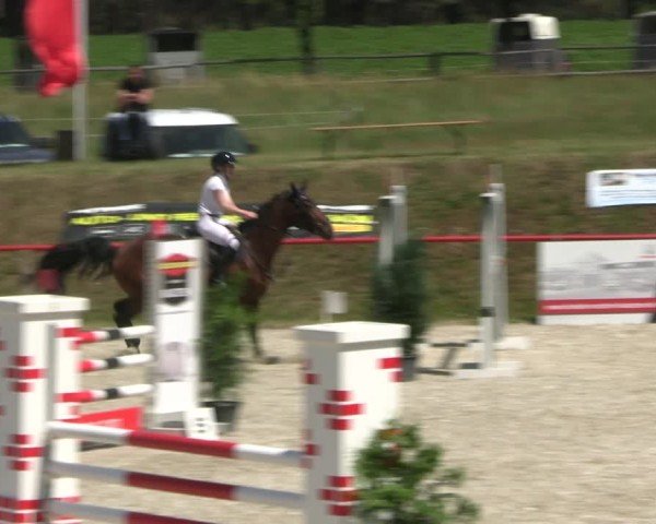 Reitturnier Holschdubrau 2025