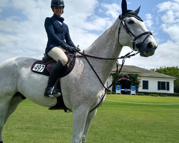 jumper Carpino 4 (Oldenburg show jumper, 2005, from Carinue)