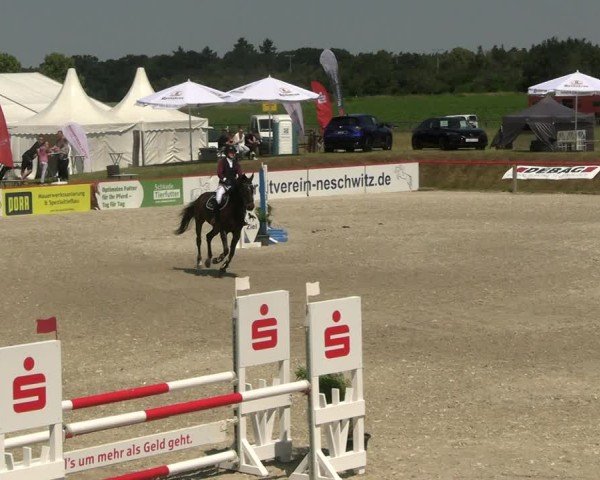 Reitturnier Holschdubrau 2025