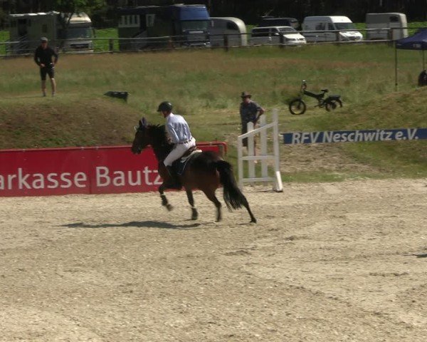 Reitturnier Holschdubrau 2025