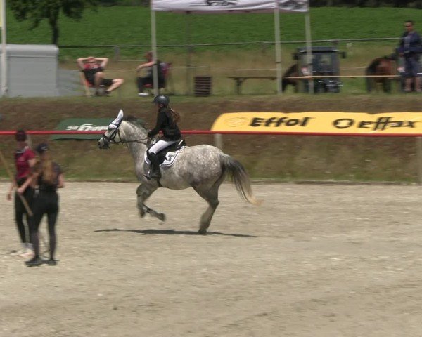 Reitturnier Holschdubrau 2025