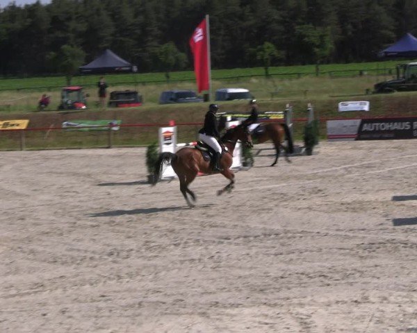 Reitturnier Holschdubrau 2025