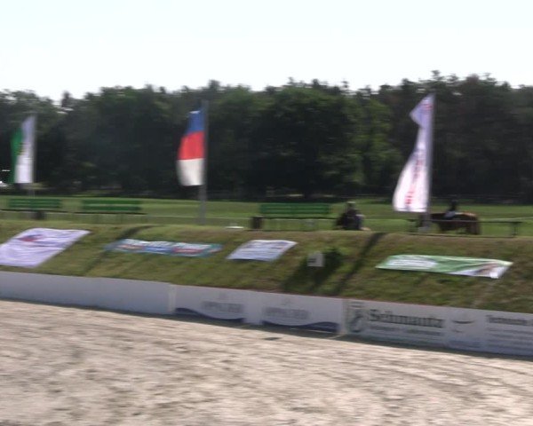 Reitturnier Holschdubrau 2025