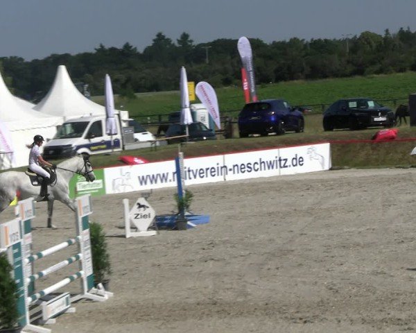 Reitturnier Holschdubrau 2025