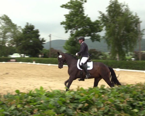 Reitturnier Wingerode 2025