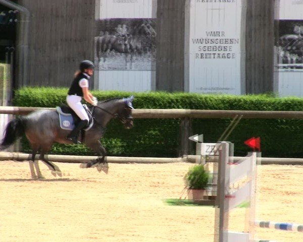 Reitturnier Berching/Opf. 2025