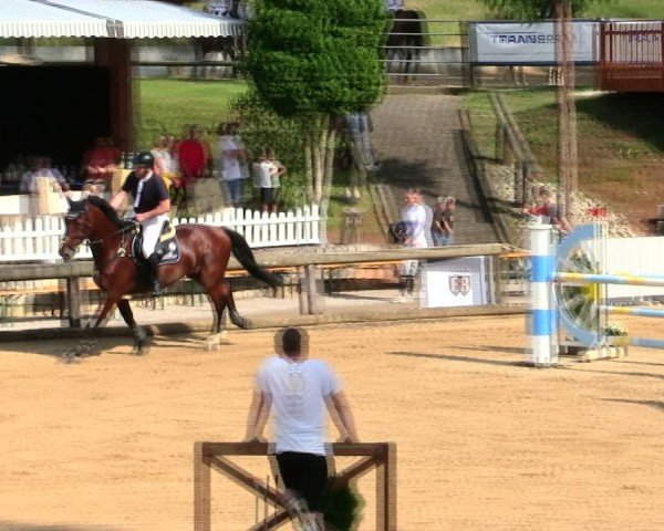 Reitturnier Berching/Opf. 2025
