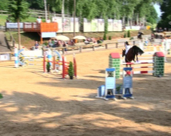 Reitturnier Berching/Opf. 2025