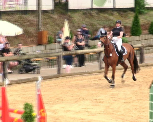 Reitturnier Berching/Opf. 2025
