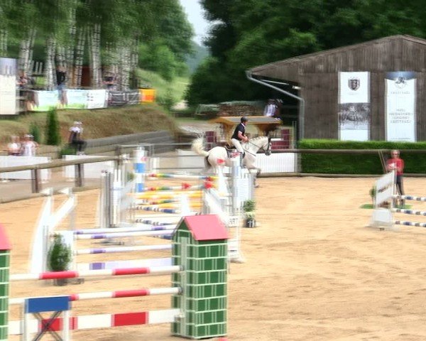 Reitturnier Berching/Opf. 2025