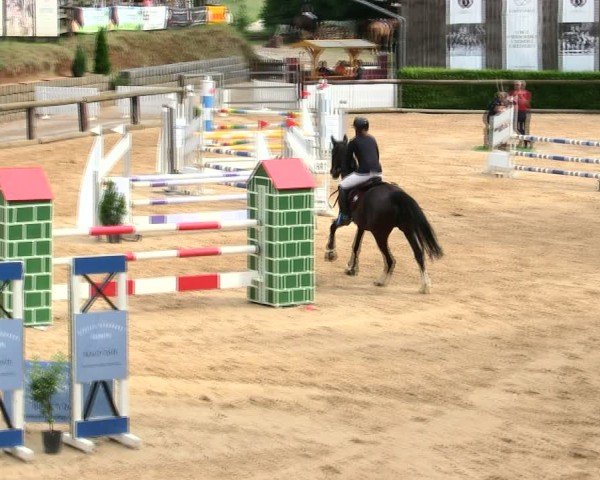 Reitturnier Berching/Opf. 2025