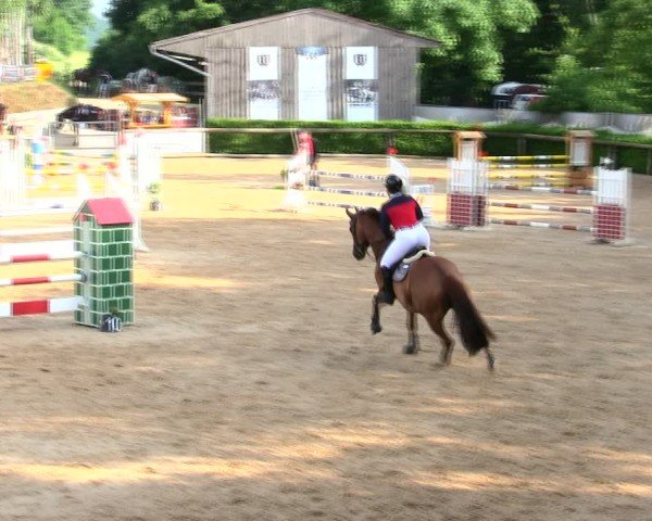 Reitturnier Berching/Opf. 2025