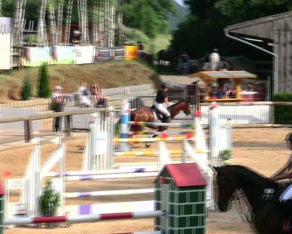Reitturnier Berching/Opf. 2025