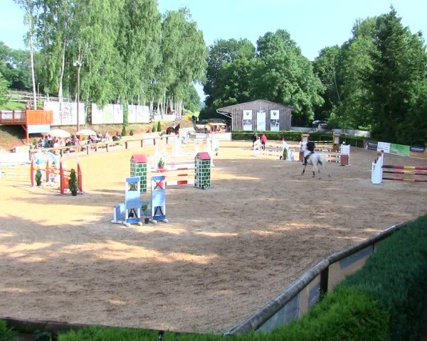 Reitturnier Berching/Opf. 2025