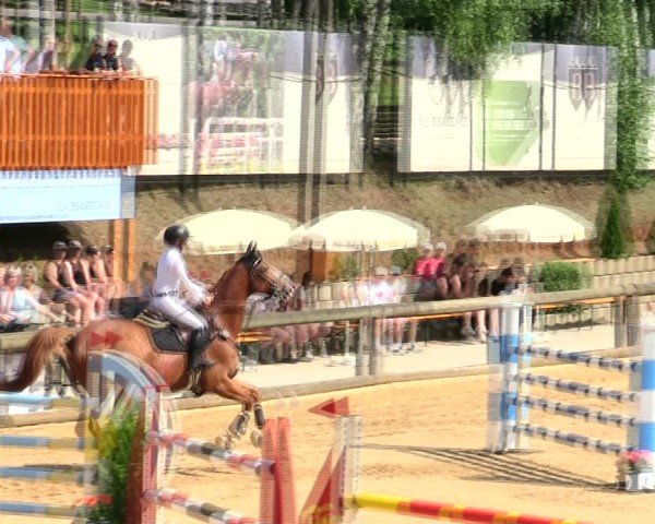 Reitturnier Berching/Opf. 2025