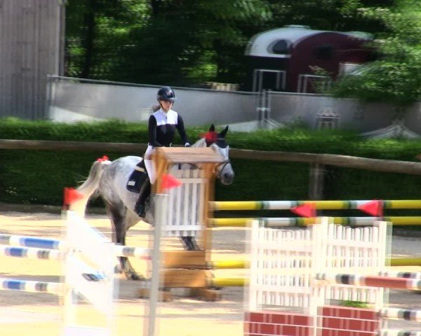 Reitturnier Berching/Opf. 2025