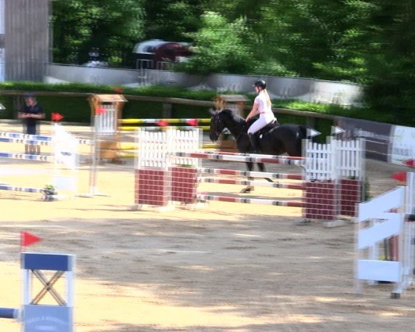 Reitturnier Berching/Opf. 2025