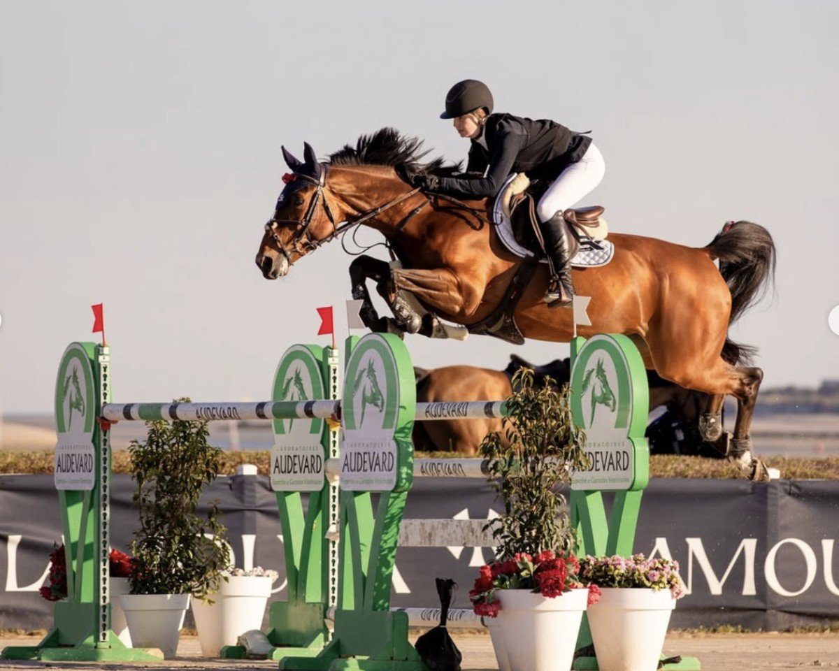 Springpferd Remember Me van de Kruishoeve (Belgisches Warmblut, 2017, von Bamako de Muze)
