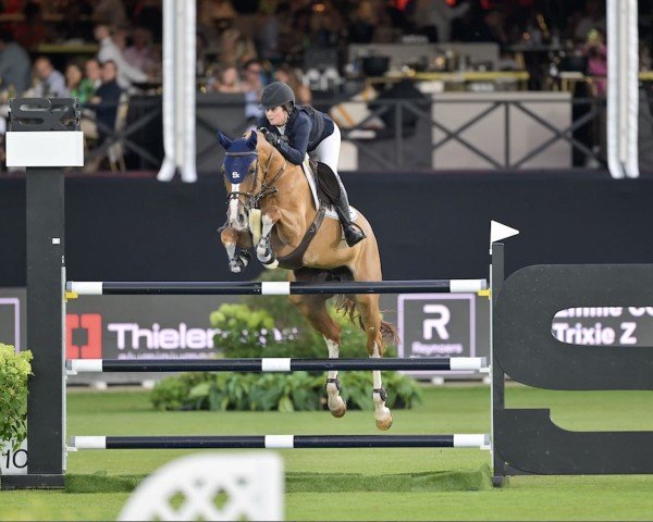 jumper Trixie Z (Zangersheide riding horse, 2014, from Tobago Z)
