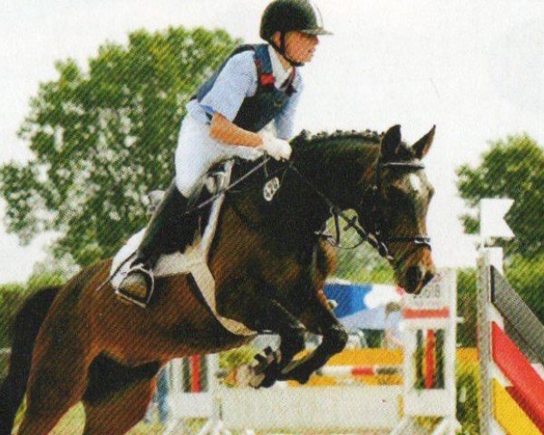 broodmare I-Milky Way (German Riding Pony, 1998, from Maccardo)