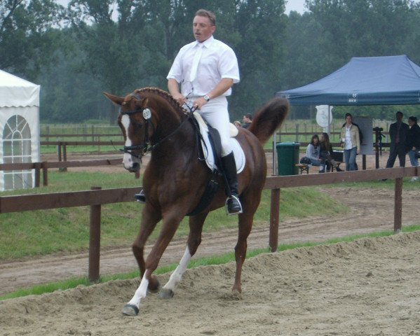 broodmare Dorena Anahita (Zweibrücken, 2004, from Don Frederico) broodmare Dorena Anahita (Zweibrücken, 2004, from Don Frederico)