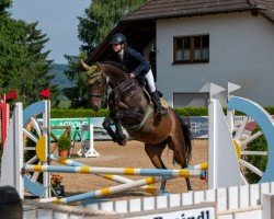 Pferd Corinna 123 (Deutsches Sportpferd, 2014)