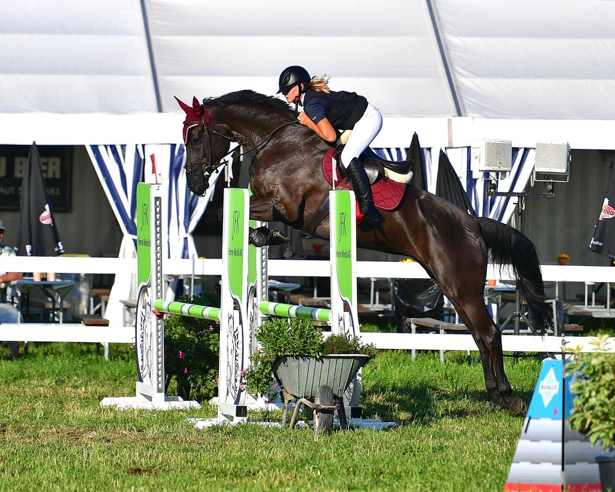 Springpferd Amira du Coeur CH (Schweizer Warmblut, 2018, von Adoro)