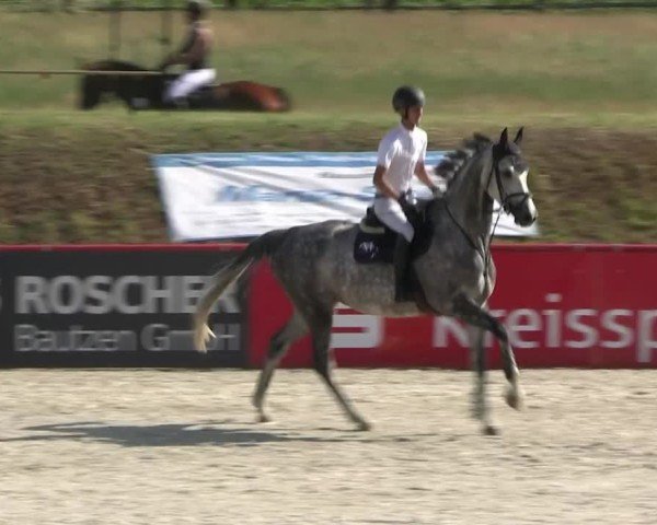 Reitturnier Holschdubrau 2025