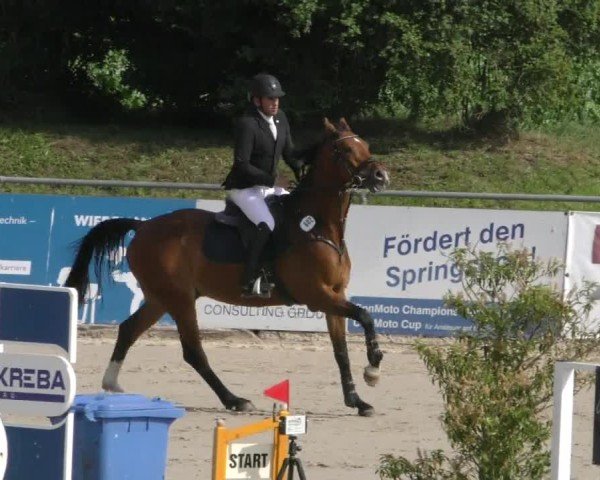 Reitturnier Harsum-Hüddessum 2025