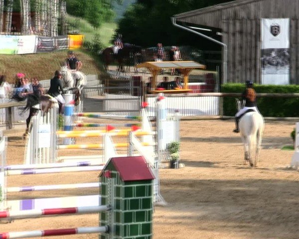 Reitturnier Berching/Opf. 2025
