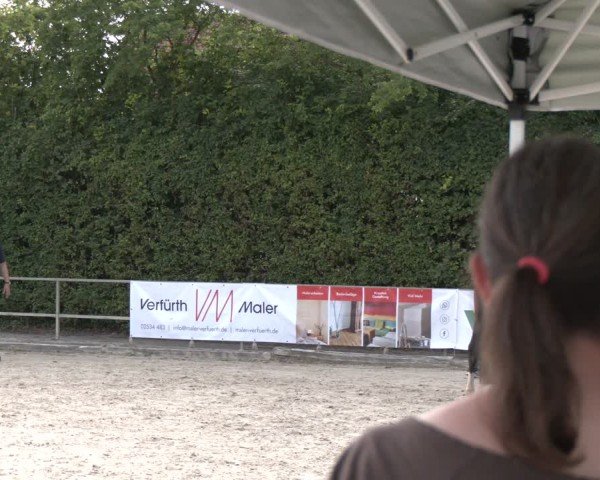 Westfälische Stuten- und Fohlenschau Münster-Albachten 2025