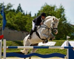Springpferd Calouisio (Deutsches Sportpferd, 2016, von Calidrio)