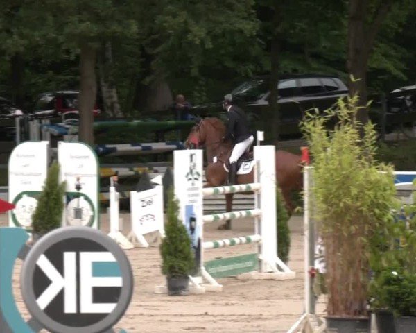 Reitturnier Letmathe 2025