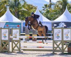jumper Catwoman B (Hanoverian, 2018, from Catover)