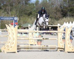 jumper Collin S 4 (Oldenburg show jumper, 2017, from Colestus)