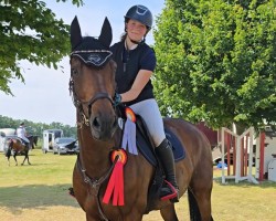 jumper Dora Dynamita (Westphalian, 2018, from Diamant de Semilly)