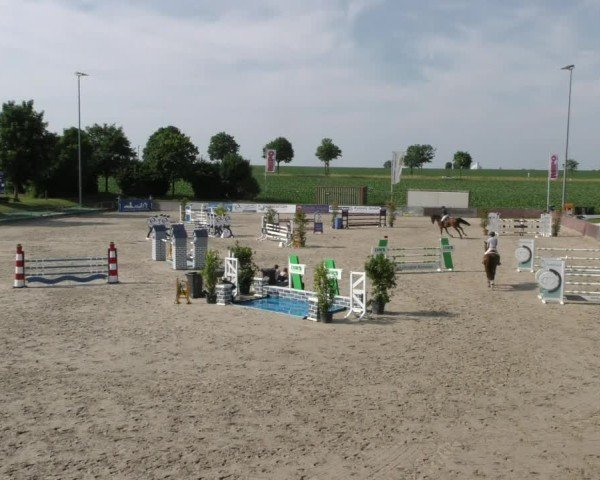 Reitturnier Harsum-Hüddessum 2025