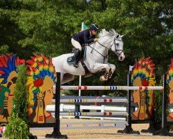 jumper Nightshade SCF (Belgian Warmblood, 2013, from Baldev)